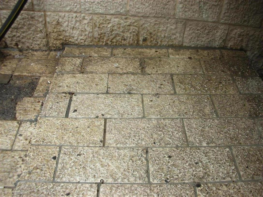 TCS 1110, מסיר שומנים ומנקה כללי אקולוגי