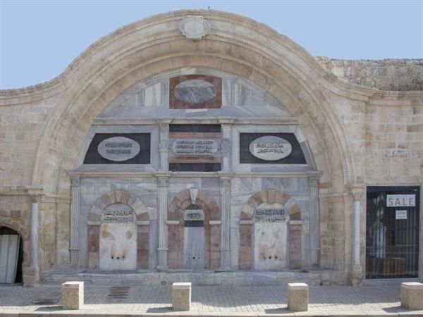 הגנה על סביל אבו נבוט בעזרת חומרי ניקוי אקולוגיים